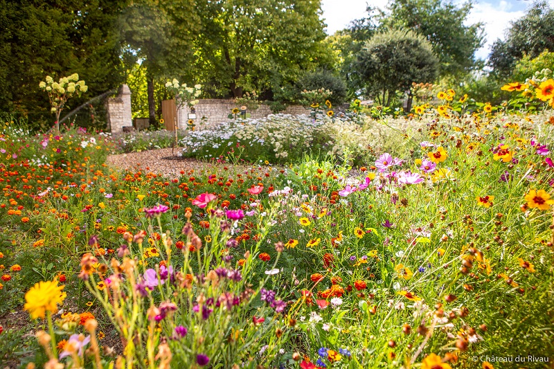 Jardin des fleurs comestibles du château du Rivau, à 3h de Paris. France