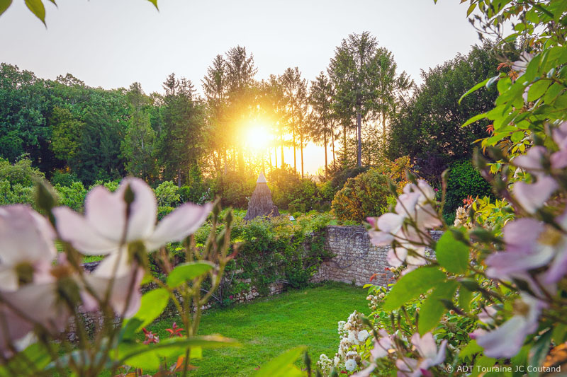 Les roses du château du Rivau - Lémeré