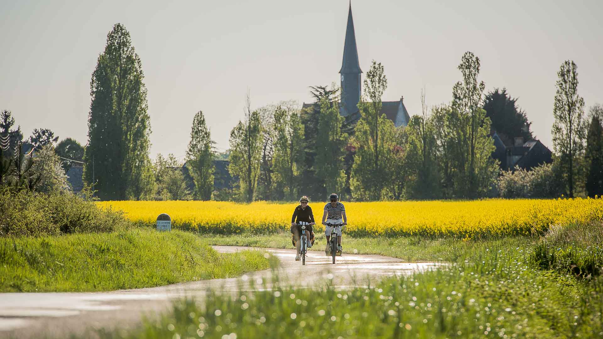 Quel est le chemin de Saint Jacques le plus facile ? Assurément, celui qui passe par Tours, dit via Turonensis. L'itinéraire de Saint Jacques à Vélo passe notamment à Sainte-Catherine de Fierbois, en Indre et Loire. C'est une portion de la Scandibérique, véloroute EuroVélo 3 allant de Trondheim en Norvège à Saint Jacques de Compostelle en Espagne, via Tours et le Val de Loire, en France.