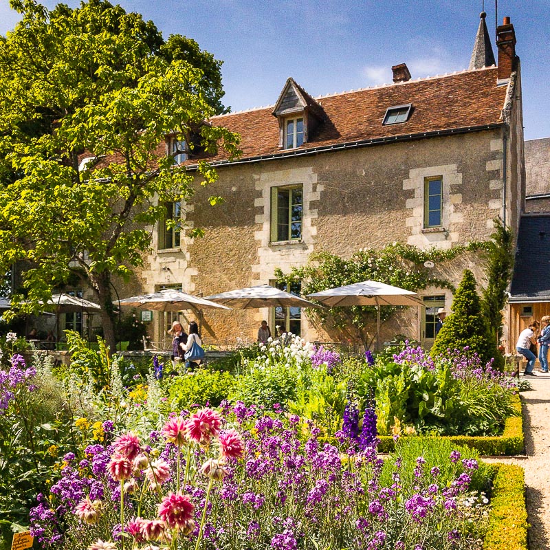 Closerie du Tilleul, adossé au jardin du presbytère ou jardin de curé du village jardin de Chédigny, appelé aussi le village des roses. Situé en Indre et Loire, le village de Chédigny est le seul village classé Jardin remarquable. Les rosiers poussent au pied des murs, offrant des milliers de roses aux visiteurs, aux côtés des vivaces, plantes à bulbes, arbustes, à l'initiative de l'ancien Maire, Pierre Louault.