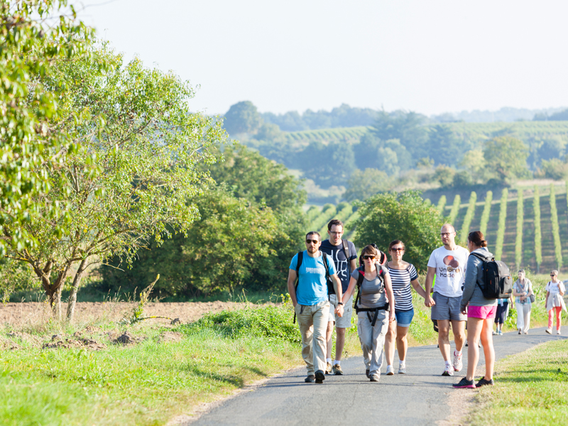 Vignes Vins Randos - Echappées en Loire à Chinon 2024