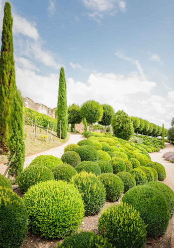 Jardin du château royal d'Amboise