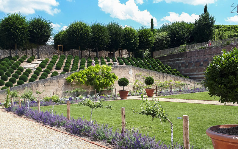 Jardin de Naples - Château royal d'Amboise