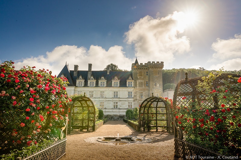 Taille des rosiers grimpants de son jardin - Conseils - Quand tailler les rosiers grimpants de son jardin ? À l'entrée de l'hiver, la taille du rosier de son jardin permet de préparer les plantes pour l'hivernage tandis que la taille du rosier du printemps prépare les fleurs pour la saison de fleuraison. La prétaille du rosier consiste à couper le bois mort et les vieilles branches de l’arbuste et à aérer le centre du rosier. Conseils, pour ce qui est de la taille de la saison du printemps de son jardin, sa taille diffère en fonction des variétés des plantes et des rosiers remontants. La taille du rosier grimpant dépend de son espèce, la taille intervient chaque saison à partir des trois ans des fleurs de la plante. Taillez les branches et les tiges des plantes à la fin de la saison d'hiver pour un rosier remontants, et dès la fin de la floraison pour un rosier non-remontant. Conseils, avoir un sol de bonne qualité dans son jardin est important pour avoir une bonne plantation et obtenir de belles plantes et de beaux rosiers remontants. Cela protégera les plantes des maladies sur les feuilles, le bourgeon au-dessus de la tige des roses sera alors prêt pour de nouvelles floraisons des plantes pour les rameaux. Conseils, pour avoir un beau jardin de roses, l’entretien des rosiers et des arbustes est à effectuer au printemps ou en hiver pour avoir de belles plantes. Coupez et taillez avec une lame de sécateur l’arbuste des plantes pendant l’automne pour avoir dans ses jardins, un beau bourgeon et de beaux rosiers.