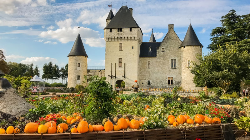 Biodiversité au jardin du Rivau