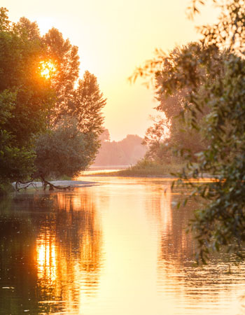 Balade sur La Loire, entre Tours et Saumur, dans le patrimoine mondial de l'UNSECO. Végétation et bancs de sable offrent de beaux paysages au gré de ce majestueux cours d'eau. Au soleil couchant, la nature environnante resplendit : faune et flore font de la Loire un environnement unique. Depuis Chaumont-sur-Loire, dans le Loir-et-Cher, Millière Raboton embarque des passagers en direction d'Amboise pour une balade mémorable sur la Loire, en bateau traditionnel.