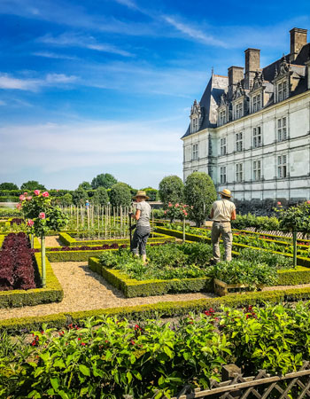 Jardins du château de Villandry