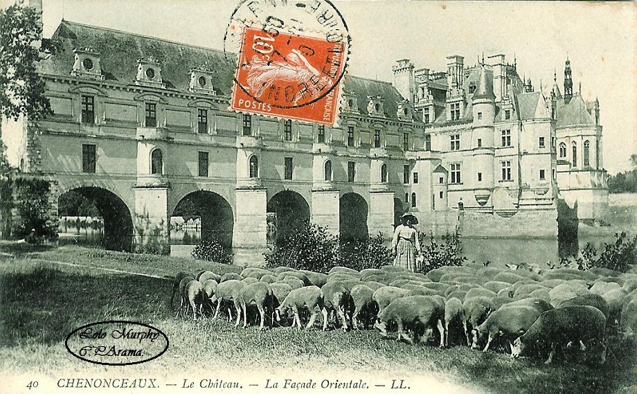 Carte postale ancienne : le château de Chenonceau
