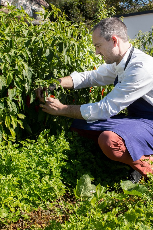 Le Chef Jérôme Roy, restaurant l'Opidom, une étoile au guide Michelin - Fondettes