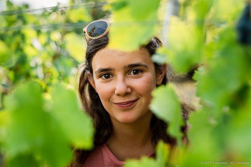 Au coeur des vignes de la cave Plou et Fils, à chargé, en Indre et Loire, France. Mathieu et Guillaume Plou conduisent l'exploitation viticole sur 75 hectares, notamment en AOC ou AOP Touraine Amboise, touraine et crémant de Loire, mais aussi en IGP Val de Loire.