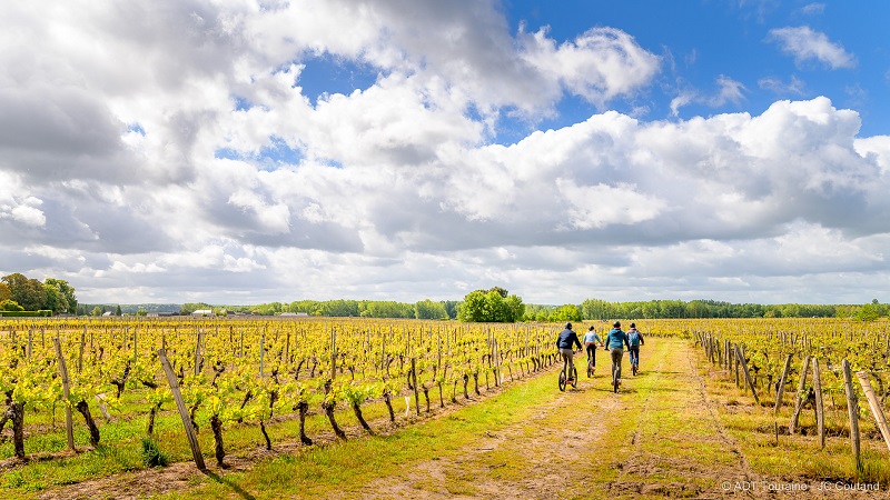 Idée d'enterrement de vie de jeune fille avant le mariage : séance de gyropode dans les vignes. A l'issu de la date de l'evjf, dégustation de vins, parmi les nombreuses activités pour femmes en Indre-et-Loire 37 à faire à petit prix entre filles.