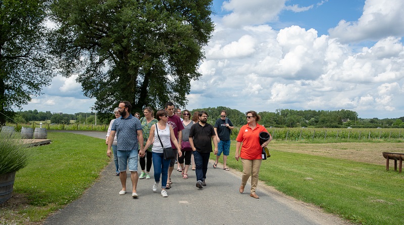 Pique-nique chez le Vigneron Indépendant dans le département de l' Indre et Loire, Région Centre val de Loire, France. dégustations, animations et pique-nique dans un domaine viticole, chez un Vigneron Indépendant, le week-end de la Pentecote au mois de juin. Visites de vignes, caves, chai, dégustation de vins blanc, rouge et rosé...