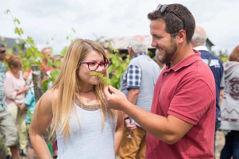 pique-nique chez le vigneron indépendant, événement national partout en France dans les domaines viticoles. Visites de vignes, caves, chai, dégustation de vins blanc, rouge et rosé...