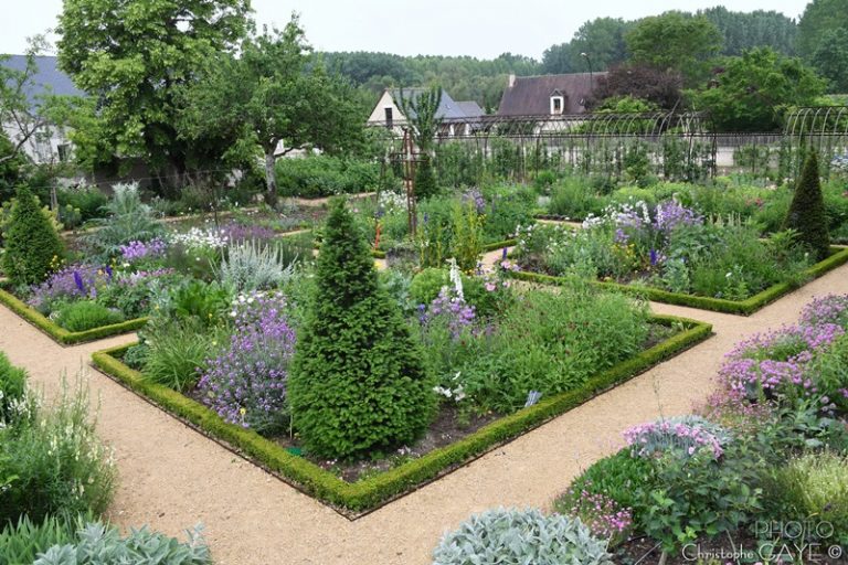 Village de Chédigny « Jardin Remarquable » et fleur d’or-7