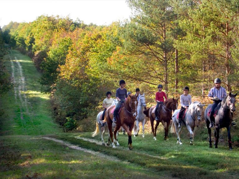 L’Alezane – enseignement équitation de loisirs et fédérale-1