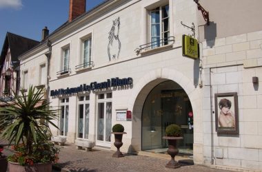 Le Cheval Blanc – Hôtel restaurant à Bléré