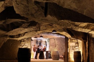 Cave Plouzeau – Chinon