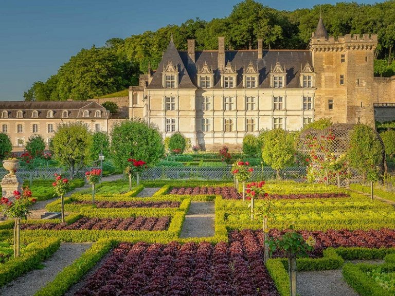 Château et Jardins de Villandry-5