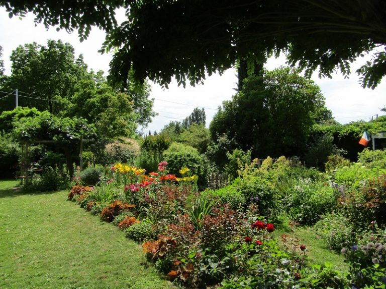 RDV aux jardins : le jardin de Mireille-2
