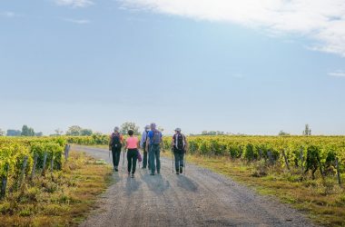 Randonnée pédestre – Vignoble de Vernou-sur-Brenne