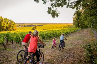 Boucle vélo Grands crus et belles demeures – Vignoble de Bourgueil