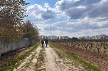 Sentier de randonnée de Rochecorbon – Entre Loire et vignes