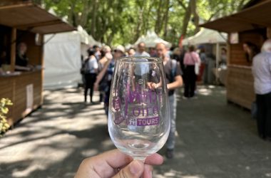 Vitiloire, la fête des vins de Loire à Tours.